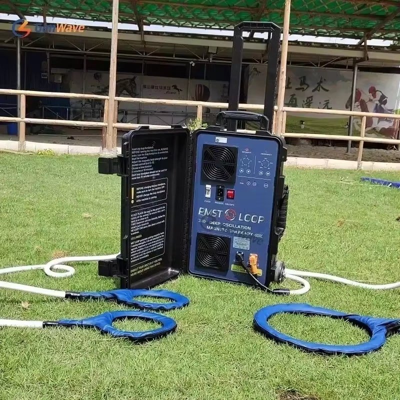 NEW Magnawave Pemf Massagegerät Magnetische Therapie Hock En Loop Hofmag Maschine 2025 - Image 3