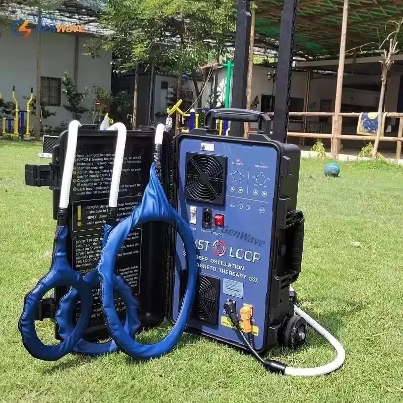 NEW Magnawave Pemf Massagegerät Magnetische Therapie Hock En Loop Hofmag Maschine 2025 - Image 2