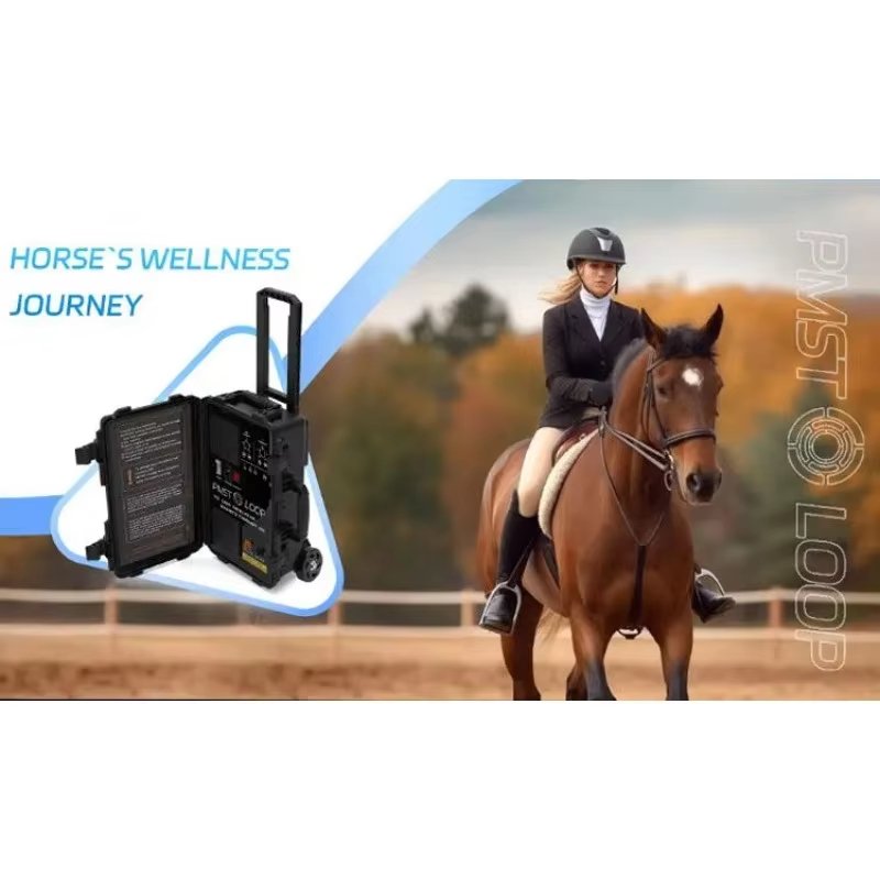 NEW Magnawave Pemf Massagegerät Magnetische Therapie Hock En Loop Hofmag Maschine 2025